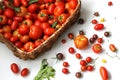 tomatoes of different varieties and colors, vegetables in a basket.