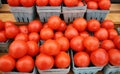 Tomatoes on display at a farmers market