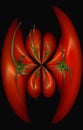 Tomatoes distortion