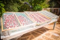 Tomatoes drying under the sun Royalty Free Stock Photo