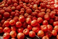 Tomatoes at farm stand. Fresh vegetables: juicy ripe organic tomatoes, farm-to-table raw food Royalty Free Stock Photo