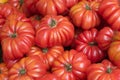 Tomatoes at farmer's market Royalty Free Stock Photo