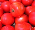 Tomatoes at Farmer`s Market Royalty Free Stock Photo