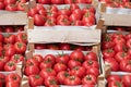 Tomatoes Farmers Market Royalty Free Stock Photo