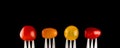 Tomatoes on forks, four types of colorful tomatoes on fork