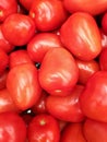 Tomatoes Royalty Free Stock Photo