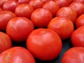 Tomatoes, Fresh Tomatoes At A Farmers Market Royalty Free Stock Photo