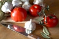 Tomatoes garlic and bay leaf Royalty Free Stock Photo