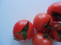Tomatoes with green branches close-up