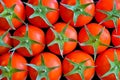 Tomatoes with green leaves - top view - food photography - many tomatoes - kitchen wallpaper