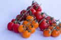 Tomatoes in group on white background Royalty Free Stock Photo