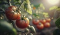 tomatoes grow in the garden, generative ai