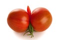 Tomatoes Grown in Phallic-like Form on White Royalty Free Stock Photo