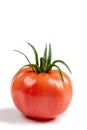 Tomatoes isolate on white background. Tomato half isolated.