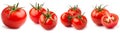 Tomatoes isolated. Tomato whole, cut, half, slice on white. Tomato with clipping path. Royalty Free Stock Photo