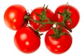 Tomatoes isolated on a white background.