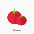 Tomatoes Isolated on White Background, Tomatoe Vector Icon