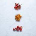Tomatoes from Italy, Isolated on Marble Background