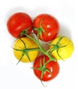 Tomatoes and lemons on the same branch Royalty Free Stock Photo