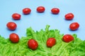 Tomatoes and lettuce on blue background. Royalty Free Stock Photo