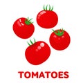 Tomatoes logo templates illustration