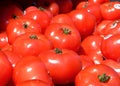 Tomatoes at the market