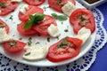 Tomatoes and Mozzarella Royalty Free Stock Photo
