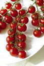 Tomatoes in natural light