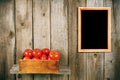 Tomatoes in an old box on a wooden shelf. Royalty Free Stock Photo