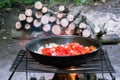 Tomatoes and onions are fried in a frying pan on the grill on the background of firewood in nature Royalty Free Stock Photo