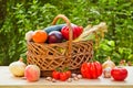 Tomatoes, onions and other vegetables in a wicker basket on a wooden table Royalty Free Stock Photo