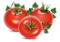 Tomatoes and parsley