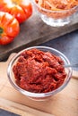 Tomatoes paste with tomatoes vegetables Royalty Free Stock Photo