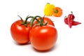 Tomatoes and peppers Royalty Free Stock Photo