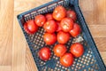 tomatoes in a plastic box on the floor Royalty Free Stock Photo