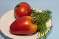 Tomatoes in a plate with dill on a gray background.