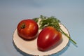 Tomatoes in a plate with dill on a gray background.