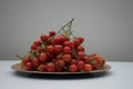 Tomatoes Royalty Free Stock Photo