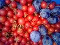 Tomatoes and plums Royalty Free Stock Photo