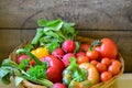 Tomatoes, radishes, peppers and parsley in wicker handbasket Royalty Free Stock Photo