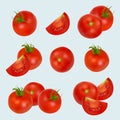 Tomatoes realistic. Healthy organic vegetables products closeup tomatoes red plants from villages decent vector