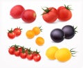 Tomatoes Realistic Set