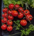 Tomatoes red fist carpal on a black platter with sprigs of green parsley and salad