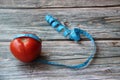 Tomatoes, red, fresh and organic with a tape measure on an old wooden table. Royalty Free Stock Photo