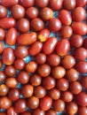 Tomatoes laid flat Royalty Free Stock Photo