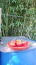 Tomatoes in red plat