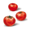 Tomatoes red