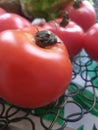 tomatoes red vegetables fit healthy summer food nutrition Royalty Free Stock Photo