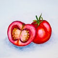 Tomatoes red watercolor drawing, illustration. Watercolor Tomato Royalty Free Stock Photo