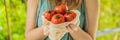 Tomatoes in a reusable bag in the hands of a young woman. Zero waste concept BANNER, LONG FORMAT Royalty Free Stock Photo